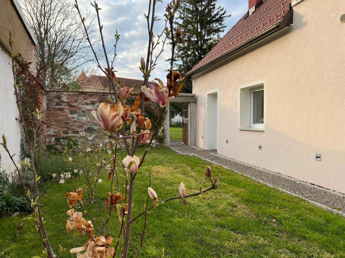 Om Yoga Center * Slovenska Bistrica