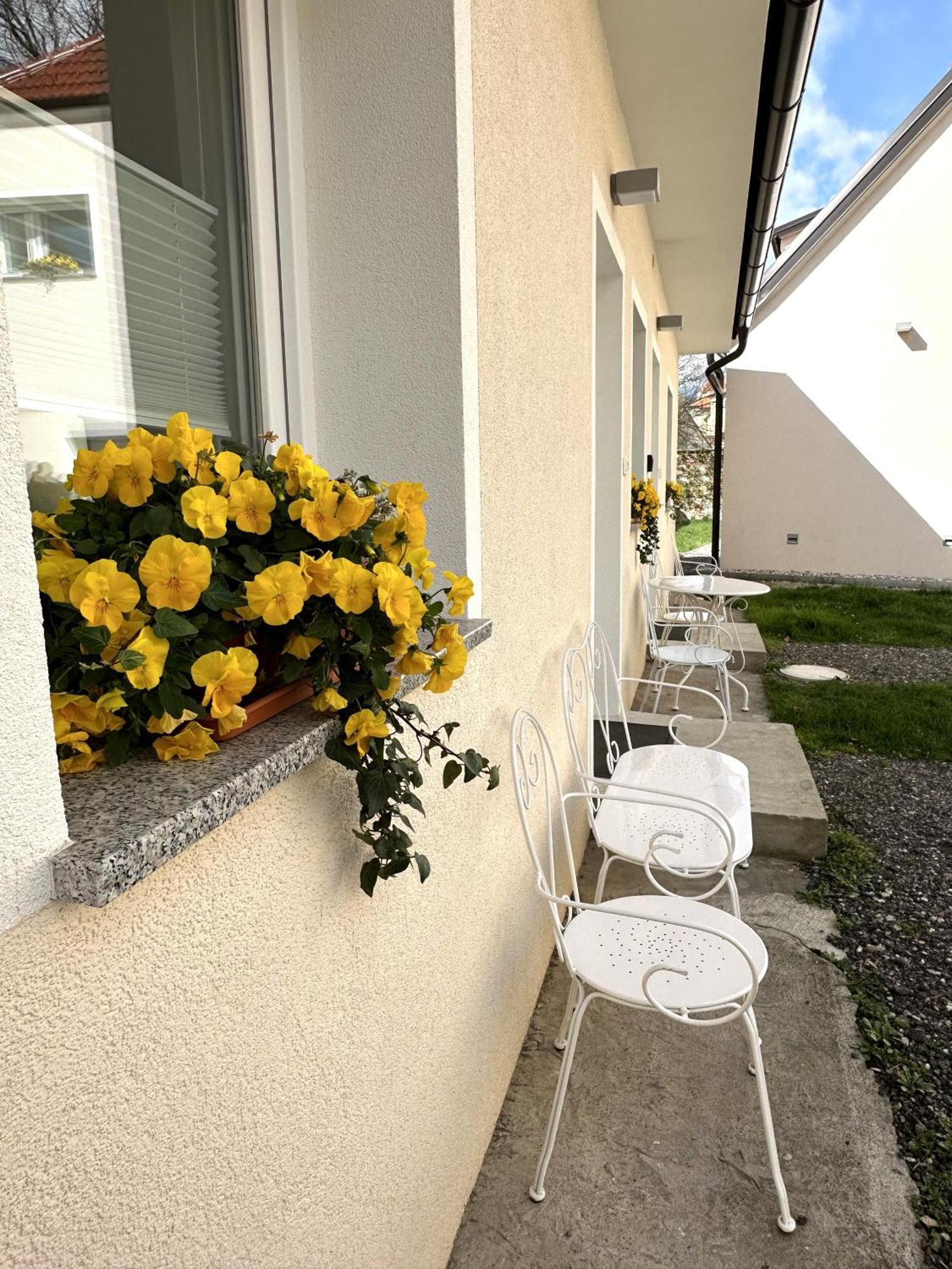 Om Yoga Center Privatunterkunft Slovenska Bistrica